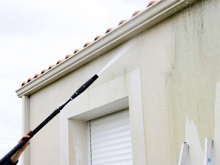 Je nettoie ma facade contre la pollution vegetale